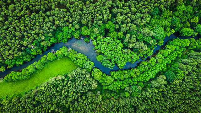 Zdjęcie przedstawia widok z góry na rzekę w lesie.