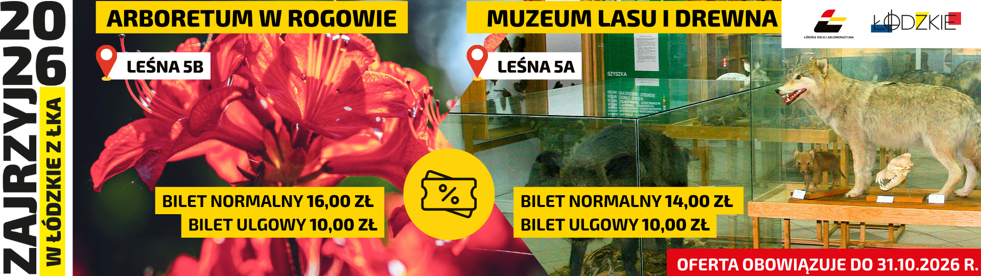 Obrazek przedstawia ofertę Zajrzyj w Łódzkie - Arboretum w Rogowie